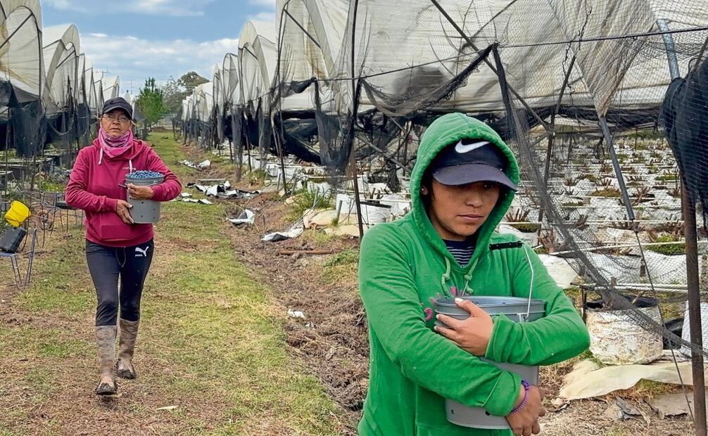 Las tarifas que pudiera imponer Estados Unidos afectarán a consumidores de ambos países 4 de febrero. Foto: Carlos Arrieta / EL UNIVERSAL