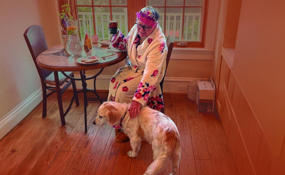 Famosos celebran el Día del Perro