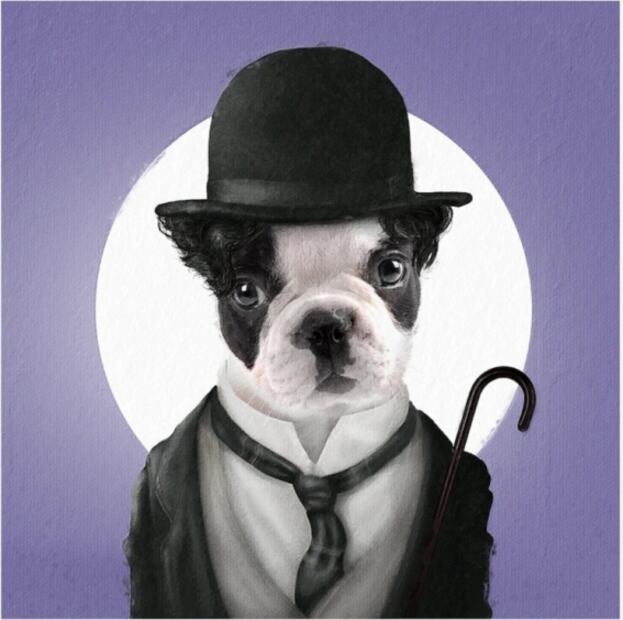 Disfrazan a mascotas de personajes de la cultura pop y se vuelve viral