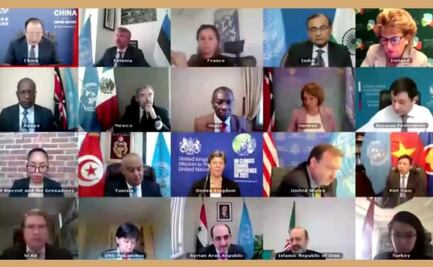 México respalda ante la ONU resolutivos de la Convención sobre Armas Químicas