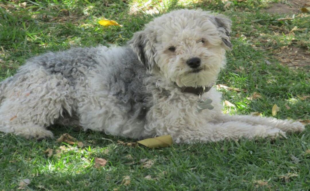 (Foto: Archivo/El Universal) 