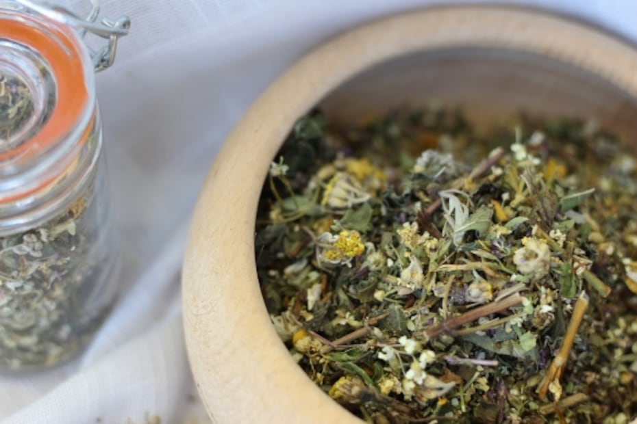 El ajenjo, más allá del licor del hada verde