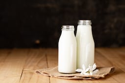 ¿Leche o bebidas vegetales? Esto es lo que debes saber