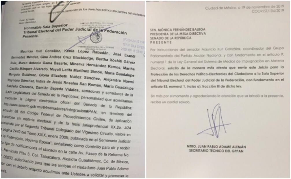 Senadores del PAN recurren a TEPJF por elección de Rosario Piedra en CNDH 