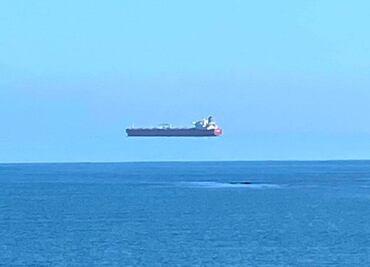 Viral: la fotografía sin truco que encanta las redes sociales