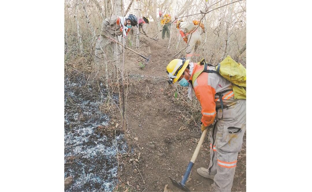 En en el Cerro Mactumatzá, nueve hectáreas se quemaron. Foto: ESPECIAL