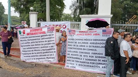 Piden a Trump reapertura de planta de moscas que combaten gusano barrenador; extrabajadores protestan en Chiapas