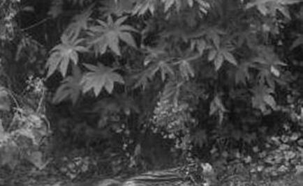 Hallan cadáver de una mujer dentro de una bolsa en Naucalpan