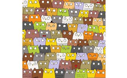 "Halla el gato entre búhos", el nuevo reto viral