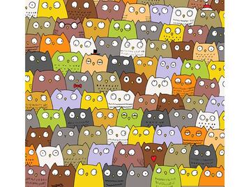 "Halla el gato entre búhos", el nuevo reto viral