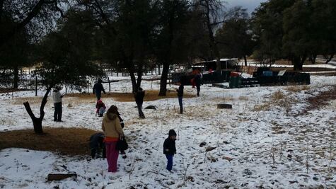 Temporada invernal deja 5 muertes en Sonora