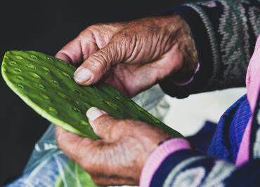 ¿Qué es la alquitira y para qué sirve?