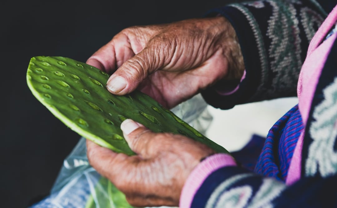 ¿Qué es la alquitira? Foto: Unsplash