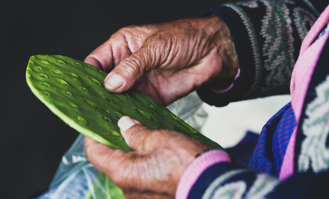 ¿Qué es la alquitira? Foto: Unsplash