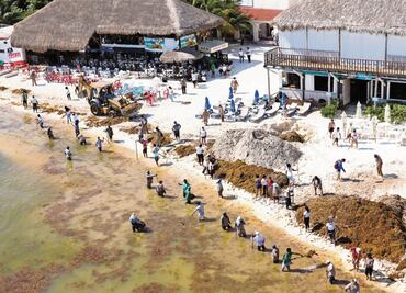 Promociones en Riviera Maya, estrategia contra el sargazo