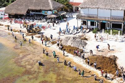 Promociones en Riviera Maya, estrategia contra el sargazo