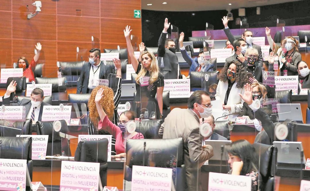 Los senadores se sumaron ayer a la lucha de activistas como Olimpia Coral Melo, quien sobrevivió a este tipo de violencia sexual e impulsó los cambios legales. Foto: ESPECIAL