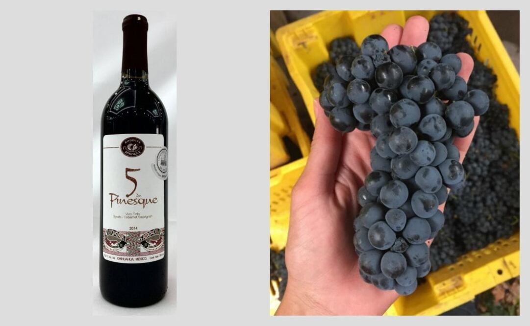 fotos: cortesía y tomada del Instagram de Bodegas Pinesque