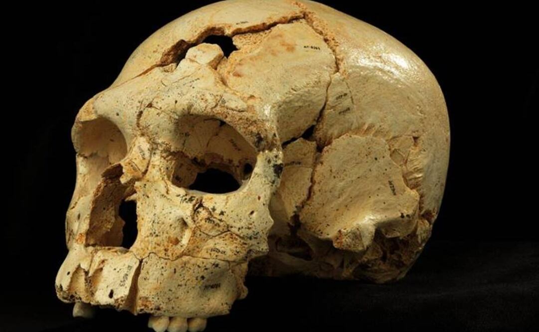 Poseen dos de los restos más antiguos de homínidos en Eurasia. Foto: Archivo