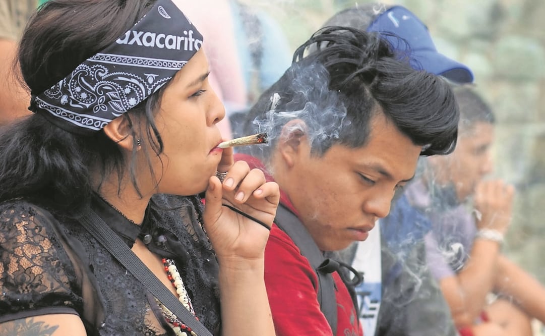 La secretaria General del PRD, Adriana Díaz Contreras, llamó al Congreso de la Unión a retomar la discusión sobre la regulación del cannabis. Foto: EL UNIVERSAL