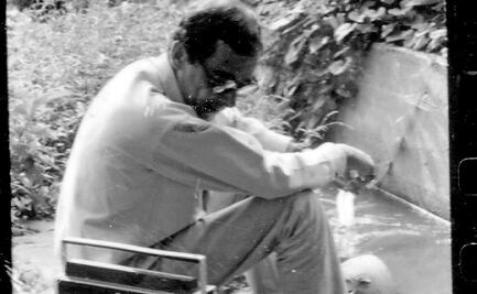 La delicia de la vida rural en el ranchito “Los Naranjos” (XXII)