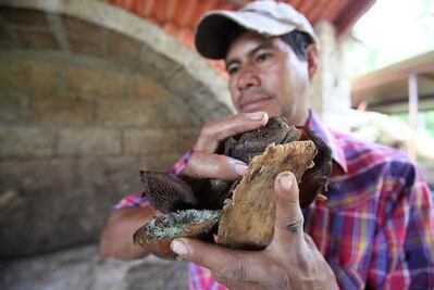 En Malinalco buscan destacar por el mezcal