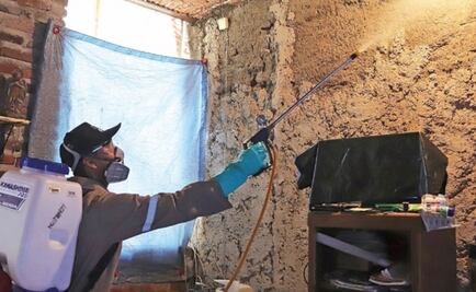 Oaxaca exhorta a combatir al dengue