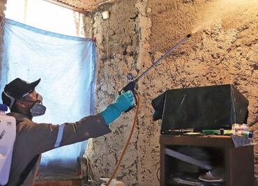 Oaxaca exhorta a combatir al dengue