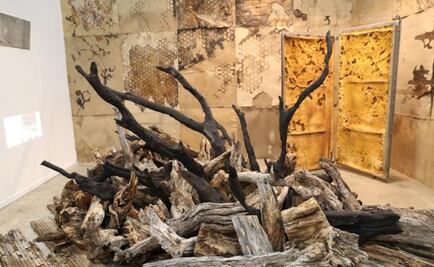 Zona Maco 15th edition