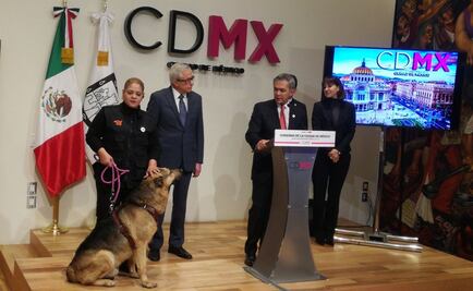Mancera pide apoyo para encontrar a dueños de perro "Ori"
