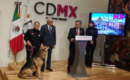 Mancera pide apoyo para encontrar a dueños de perro "Ori"