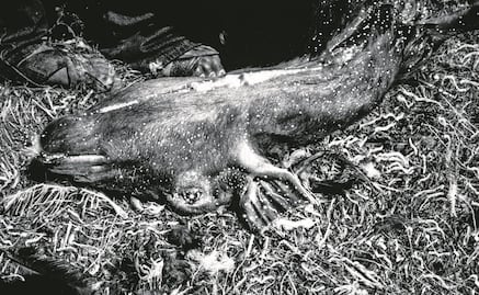 "Vivir en México es un riesgo ahora más que nunca": Yael Martínez, ganador del World Press Photo 2022