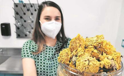 ¡No lo tires! Abren acopio de flor de cempasúchil