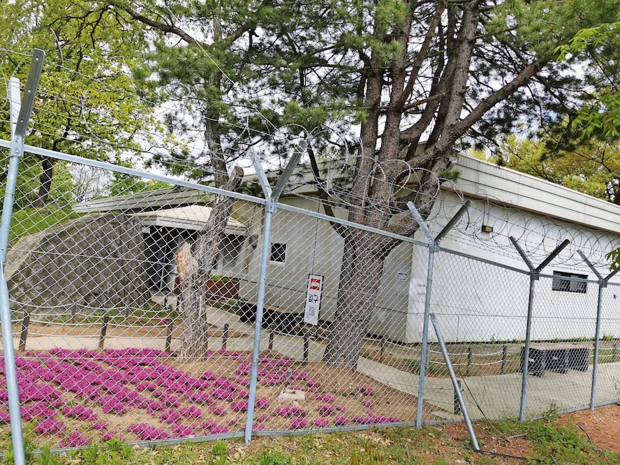 Según el Pentágono, 'Charlie' es el segundo nivel más alto de alerta que "se aplica cuando ocurre un incidente o se recibe información de inteligencia que indica que es probable que se produzca alguna forma de acción terrorista en una de sus bases en el extranjero. Foto: Especial