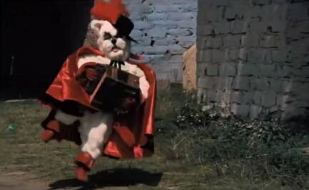 ¿Qué ver?: El extraño "Gato con botas mexicano" que llegó a la pantalla en los años 60