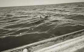 Localizan tres cuerpos flotando en el mar en Navolato, Sinaloa; estaban envueltos en cobijas y amarrados con mallas