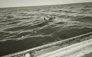 Localizan tres cuerpos flotando en el mar en Navolato, Sinaloa; estaban envueltos en cobijas y amarrados con mallas