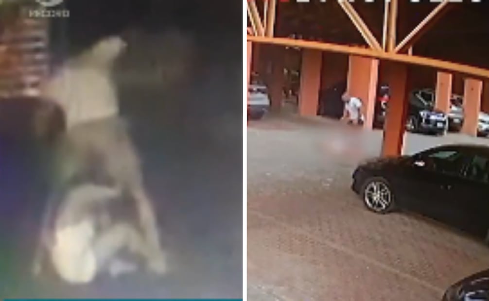 Foto: Captura de pantalla en X e Instagram