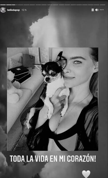 Belinda llora la muerte de su perro Gizmo, su bebé