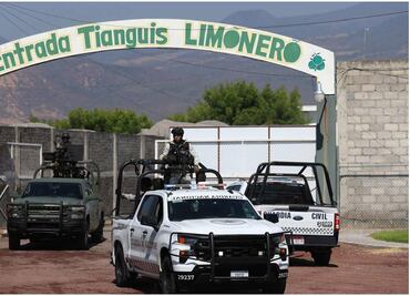 Presidencia: Sedena mantiene presencia en Michoacán contra extorsiones a limoneros; kilo de limón está a 3 pesos