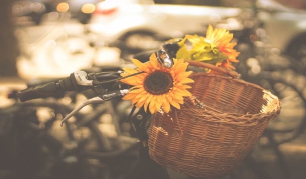 Elige las flores para mamá según el significado de su color