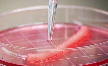 Crean hilo con células vivas para medicina regenerativa