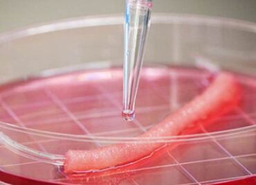 Crean hilo con células vivas para medicina regenerativa