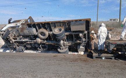 Vuelca camión que transportaba 150 colmenas en Doctor Arroyo, Nuevo León; abejas se dispersan en carretera