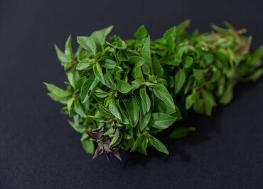 Qué es la mejorana y para qué sirve