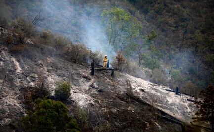 Fiscalía de Nuevo León atribuye accidente en Santiago a falla mecánica; han entregado 11 de los 12 cuerpos de las víctimas