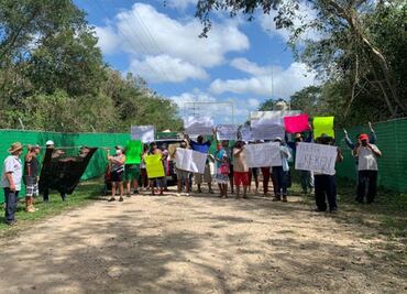 Surgen "autodefensas" del medio ambiente; indígenas mayas contra granjas porcícolas