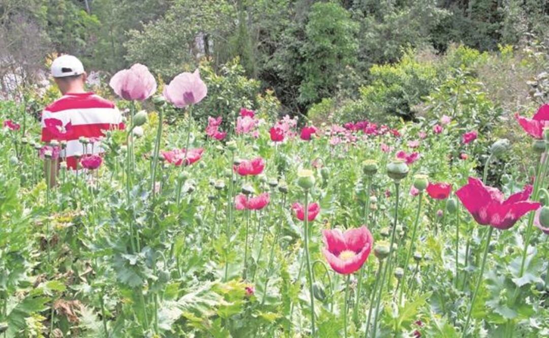 Los pobladores denunciaron que quienes no acceden son amenazados y obligados a dejar sus pueblos. (Foto: Archivo EL UNIVERSAL)