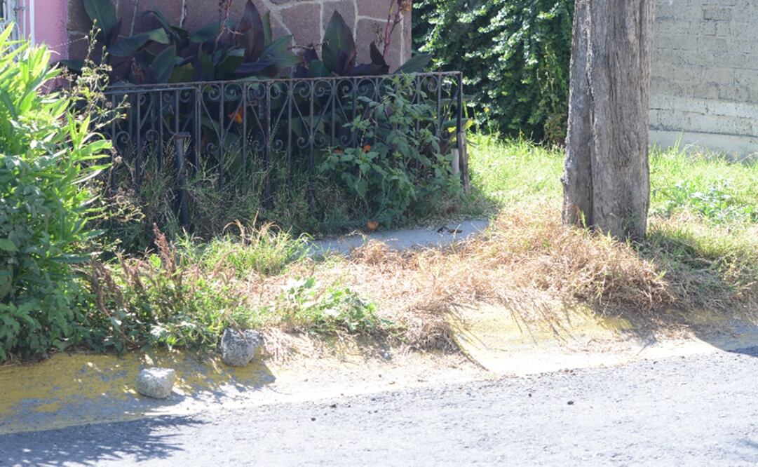 Fotografía: Archivo