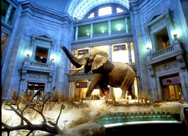 Trump pide investigar a los museos de EU; los acusa de tener ideología "woke"